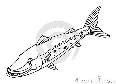Line art illustration of Barracuda or Northern pike. Blank uncolored fish image on white background for children and kids coloring Vector Illustration